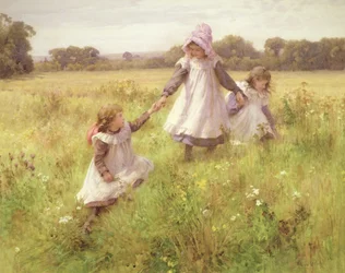 At plukke vilde blomster